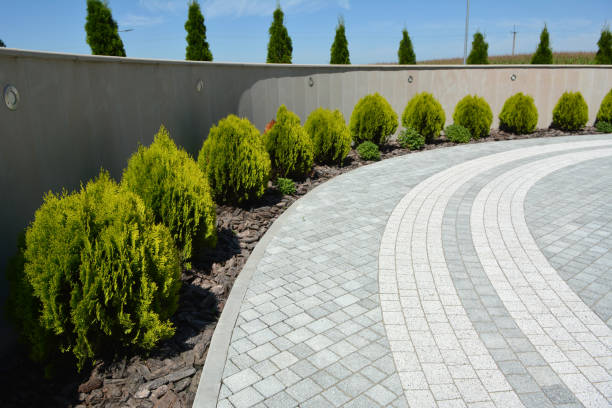 Best Driveway Paving Contractor  in Shelby, MS