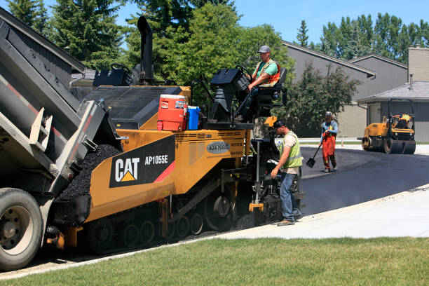 Best Concrete Paver Driveway  in Shelby, MS