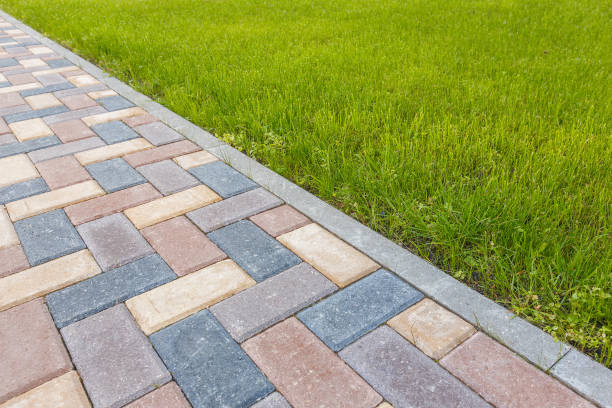 Best Local Driveway Pavers  in Shelby, MS